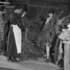 British Tobacco Farm