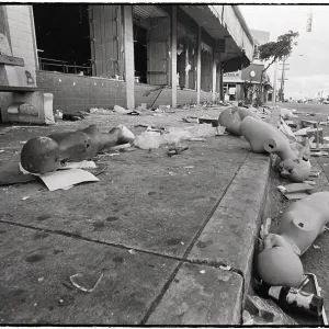 Images Dated 1980 May: 18 May 1980