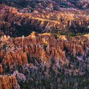 Bryce Canyon Hoodos