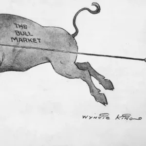 The Bull Market The Bull Market