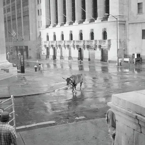 Images Dated 1986 August: 11 Aug 1986