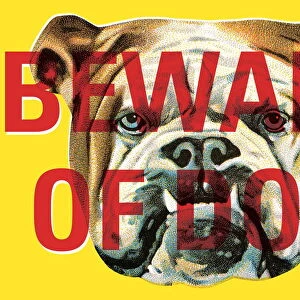 Bulldog: beware of dog