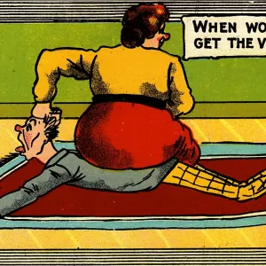 Bully Suffragist Bully Suffragist