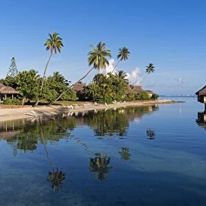 Bungalows, palm trees, lagoon, Moorea, French Polynesia
