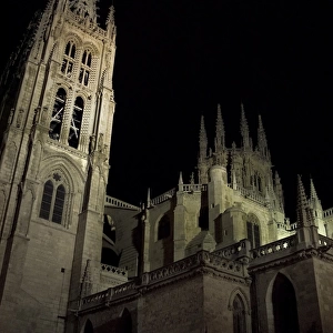 Burgos Cathedral By the night