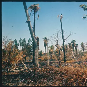 Images Dated 1970 August: 10 Aug 1970