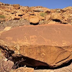 Bushman rock carvings, Mik Mountains, Damaraland, Namibia, Africa
