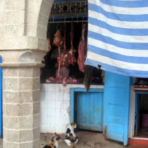 Butcher shop, Essaouira, Morocco