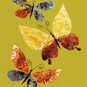 Butterflies Butterflies