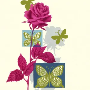 Butterflies and a Rose Butterflies and a Rose