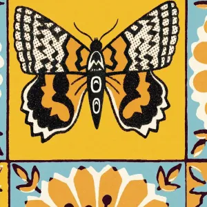 Butterfly pattern Butterfly pattern
