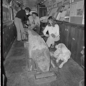 Images Dated 1977 July: 1 Jul 1977