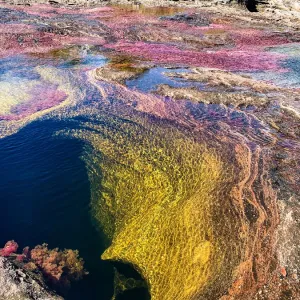 CaAno Cristales, River is Five Colours