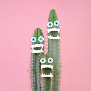 Photographers Photographic Print Collection:  Juj Winn's Bright, colourful, quirky creative collection