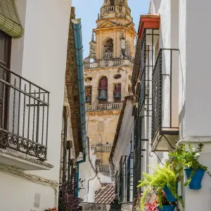 Calleja de las Flores and Old Torre del Alminar Bell Tower, Mezquita, Cordoba, Andalusia Calleja de las Flores and Old Torre del Alminar Bell Tower, Mezquita, Cordoba, Andalusia