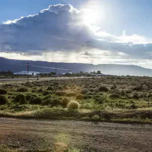 calvinia, cloud, color image, colour image, day, daytime, desert, dirt track, field