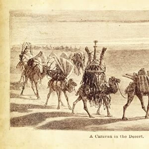 Camel Caravan engraving illustration