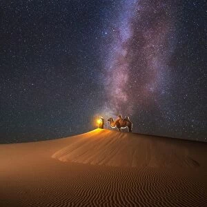 Amazing Deserts Photographic Print Collection: Gobi Desert, Asia