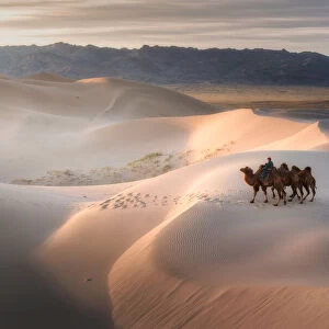Camel riding on Gobi Desert, Mongolia