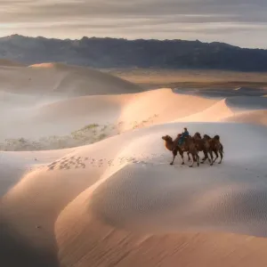 Camel Riding Print, Gobi Desert Landscape Camel Riding Print, Gobi Desert Landscape