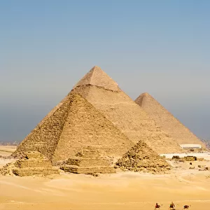Camels Line Walk Pyramids All Vertical
