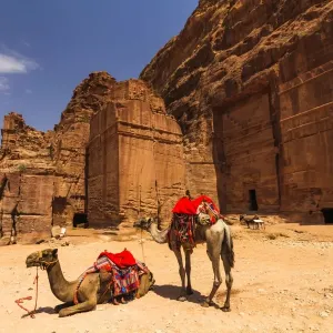 Camels near Tombs in Petra Print Camels near Tombs in Petra Print