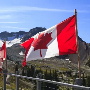 Canadian Flags Print in Whistler Resort, Early Fall Canadian Flags Print in Whistler Resort, Early Fall
