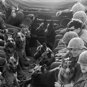 Canine Patrol Canine Patrol