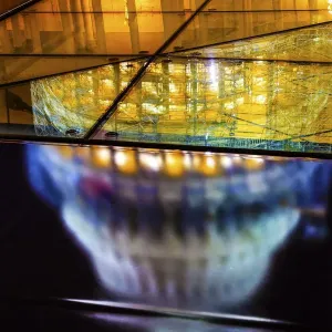 Le Capitole des États-Unis reflété dans le verre, Washington DC, USA. Le Capitole des États-Unis reflété dans le verre, Washington DC, USA.