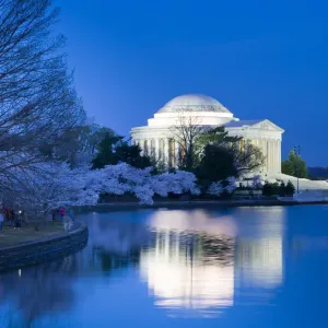 Thomas Jefferson Memorial Print with Cherry Blossoms at Dawn Thomas Jefferson Memorial Print with Cherry Blossoms at Dawn