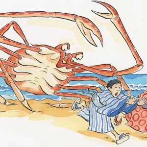 Japanese Spider Crab Print Japanese Spider Crab Print