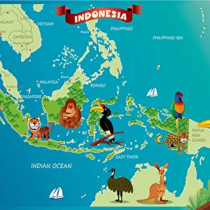 Cartoon map of Indonesia