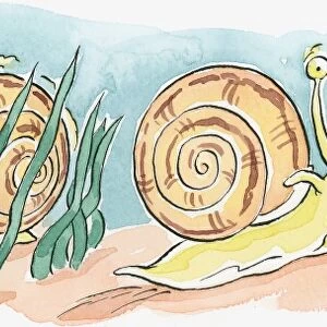 Cartoon of row of underwater sea snails with mouths open and alert eyes on top of tentacles