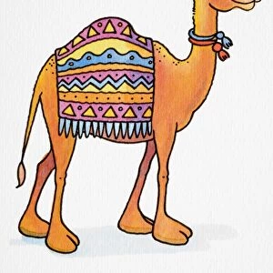 Cartoon, smiling Dromedary (Camelus dromedarius) standing with its eyes closed, two colourful collars around its neck and patterned rug draped across its back, side view