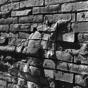 Carving On Wall Carving On Wall