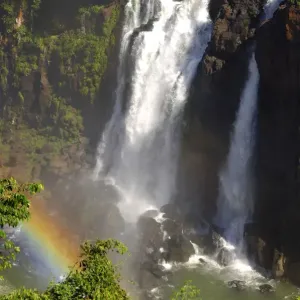 Iguazu Waterfalls Print with Rainbow Iguazu Waterfalls Print with Rainbow