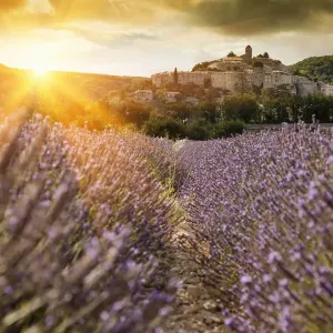 Castle overlooking field of flowers Castle overlooking field of flowers