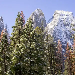 Cathedral Rocks covered with snow, Yosemite National Park, California, USA