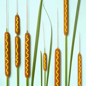 Cattail Corn Dogs Print Cattail Corn Dogs Print
