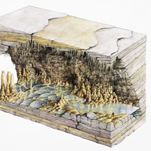 Cave, cross-section