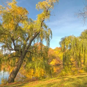 Central Park, NYC Central Park, NYC