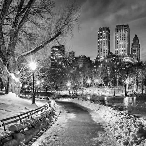 Central Park Path Night Black & White