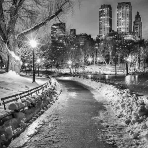 Central Park Winter Path Black and White Print Central Park Winter Path Black and White Print