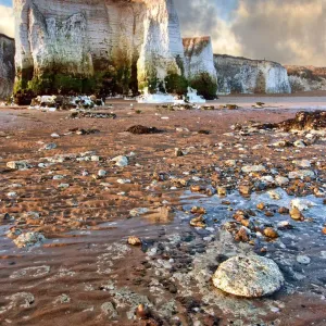 Botany Bay Chalk Cliffs Print Botany Bay Chalk Cliffs Print