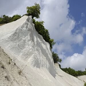 Chalk cliffs, Jasmund National Park, Ruegen, Rugia, Mecklenburg-Western Pomerania, Germany, Europe