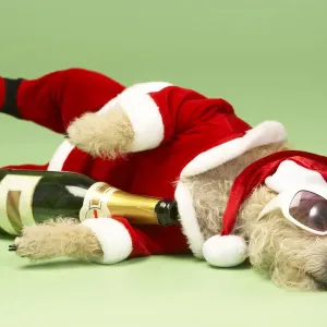 Champagne and Shades Santa Dog Small Print Champagne and Shades Santa Dog Small Print