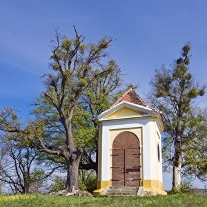 Chapel of St. Florian, cultural heritage, and Limes, Littleleaf Linden (Tilia cordata), memorial trees on FloriAzAanek, Koryčany, KroměřAzAiaAY district, ZlAzAin region, Moravia, Czech Republic, Europe