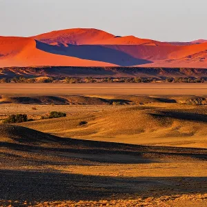 Characteristic red dunes of Sossusvlei area with sand and gravel plains in foreground, at dawn, Namib-Naukluft, Namibia Characteristic red dunes of Sossusvlei area with sand and gravel plains in foreground, at dawn, Namib-Naukluft, Namibia