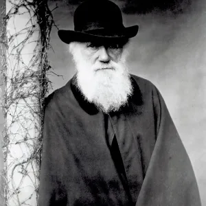 Charles Darwin Portrait