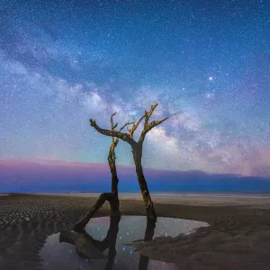 charleston milky way charleston milky way